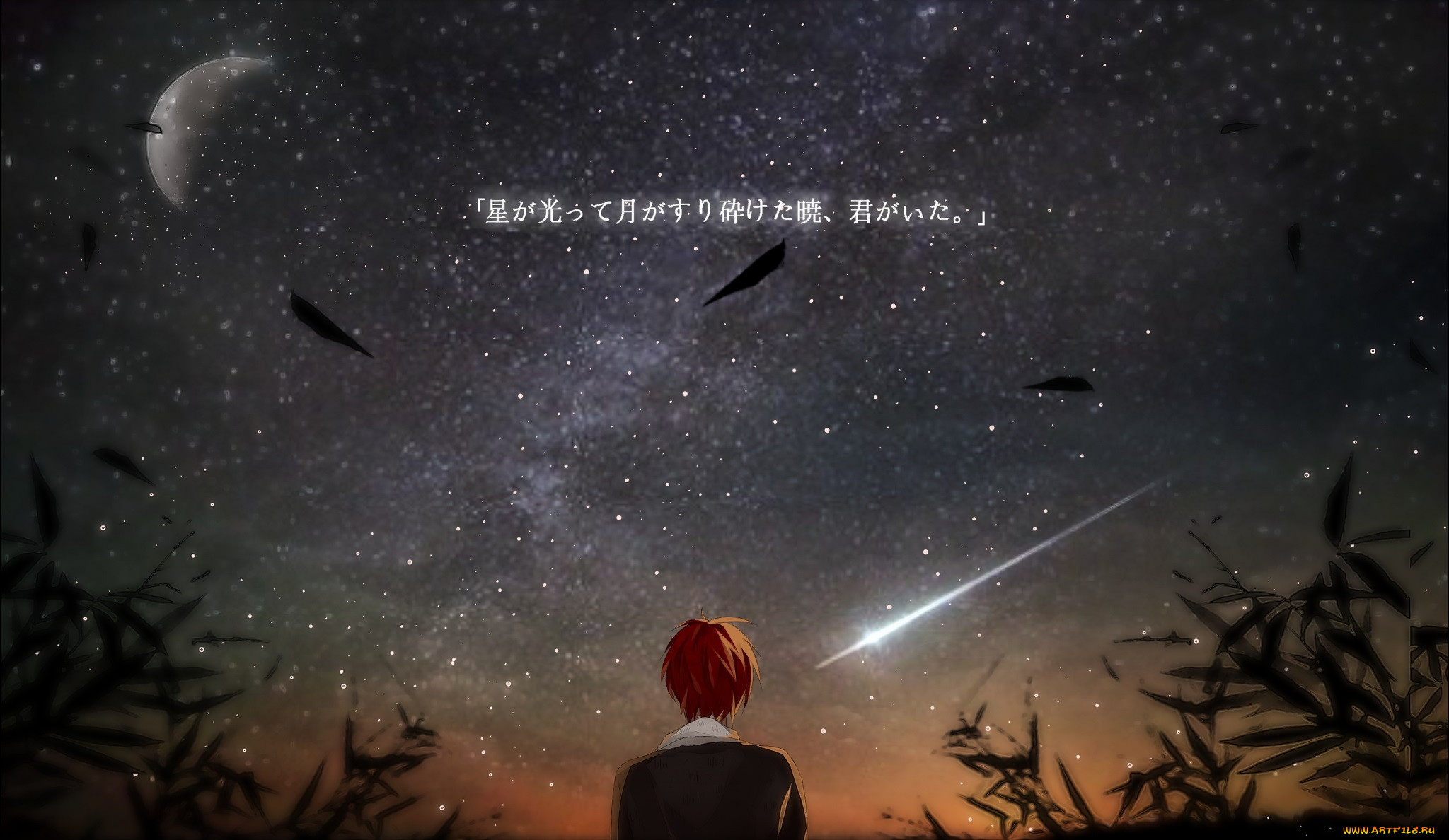 , ansatsu kyoushitsu, , 